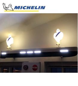 Michelin Xenon white position light  - 4