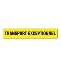 TRANSPORT EXCEPTION.1250X250 YELLOW  - 1