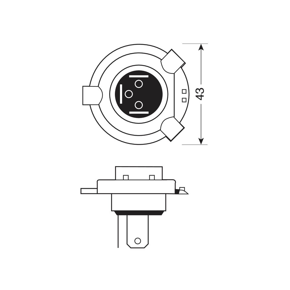 PS Image 10397