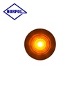 PS Image 20909