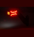 PS Image 21631