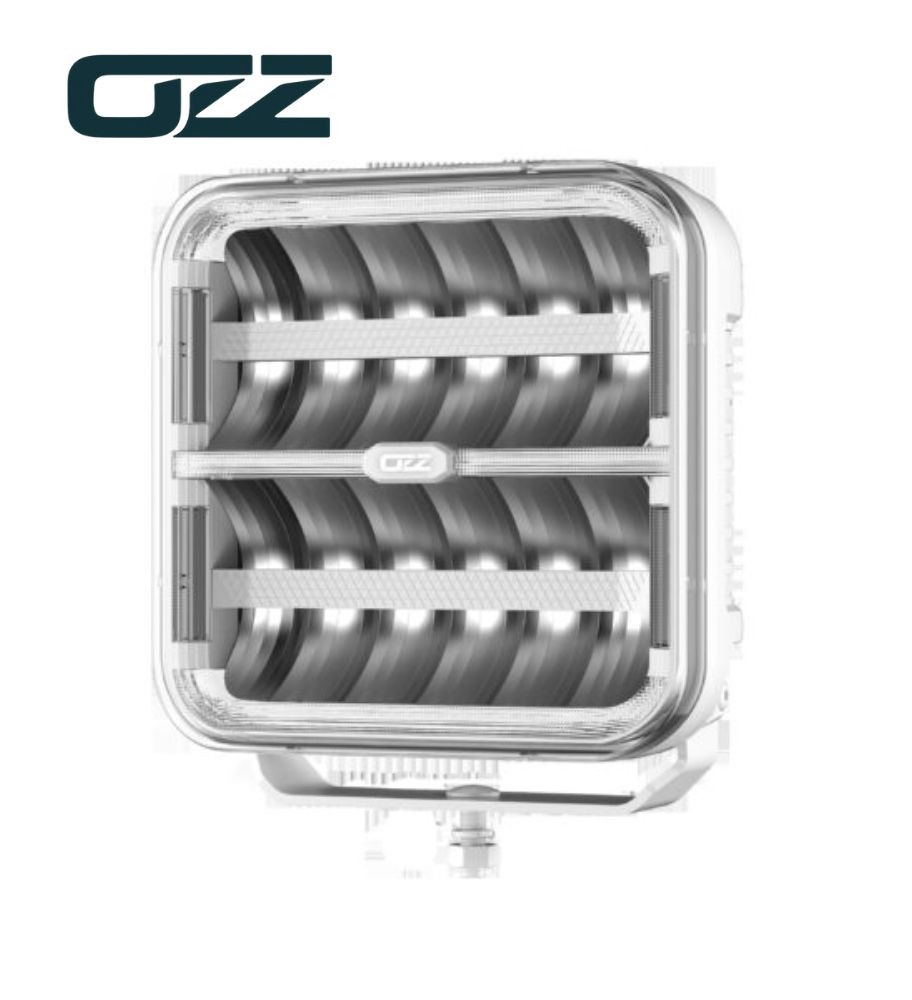 PS Image 31862
