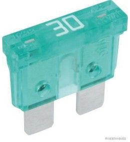 Fusible - Vert - 30A