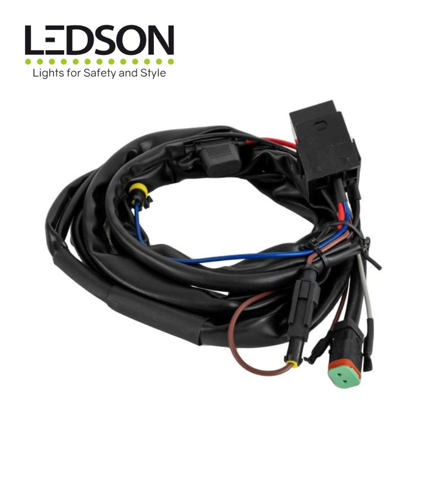 [AC7801002] Ledson Faisceau DT 2 Pin pour longue portée 12V